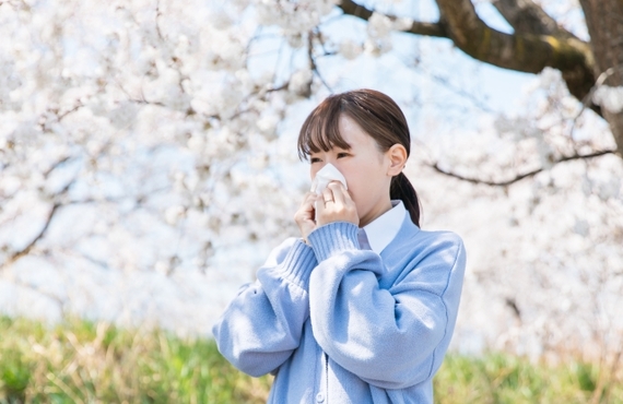 花粉症、薬だけに頼っていませんか？｜福山市の整体なら整体院碧Ao
